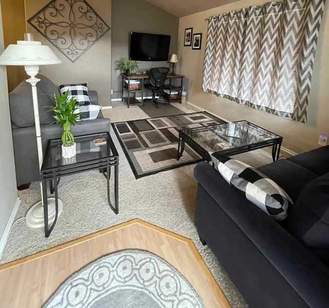 Executive Apartment~Downtown~Micron~Bike~Ski - Image 1