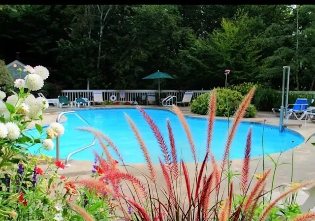 Remodeled 2BR- One of the best at Nordic Village! - Image 1