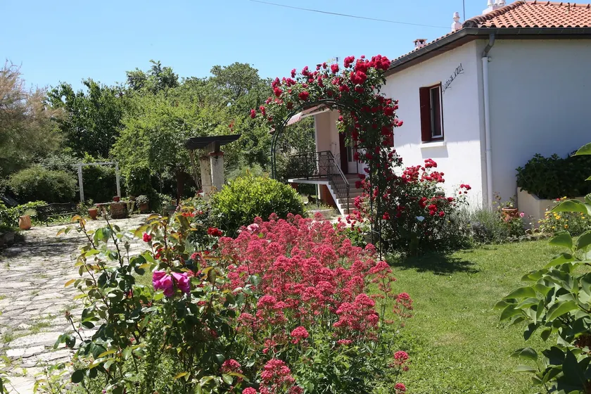 A Canção das Flores (Saint-Sulpice-la-Pointe) - Image 1