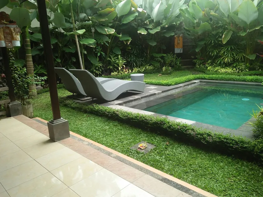 Dedik House - Image 1