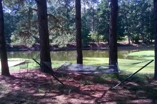 Lakefront Guest House-Private Fishing. - Image 1