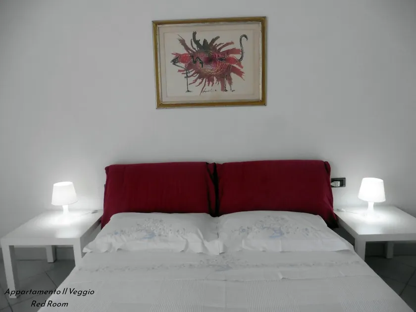 IL VEGGIO APARTMENT - Image 1