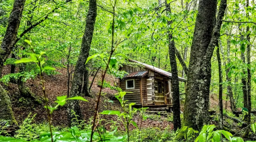 Bird Hollow Cabin (1 room antique logs) - Image 1