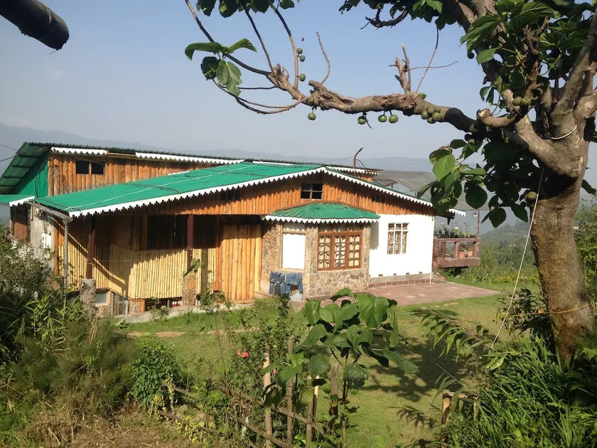 Hornbill Apartment, Birdsong Home - Image 1