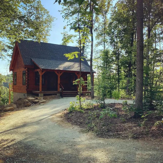 Cohosh - Hand hewn private log cabin with views - Image 1