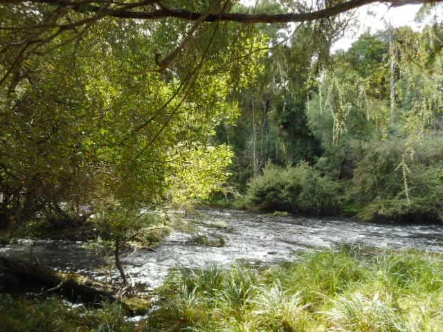Platypus Den i Warburton - Image 1