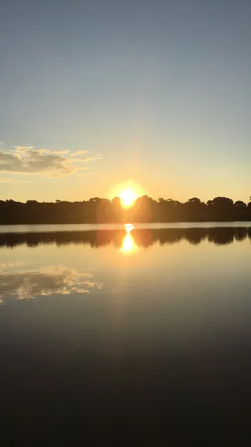 Peaceful retreat in the city - Image 1