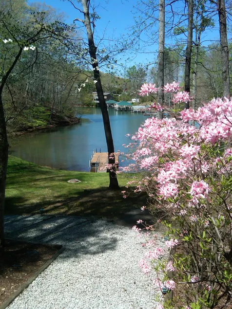 Lake Keowee Home-It's like being in a tree house. - Image 1