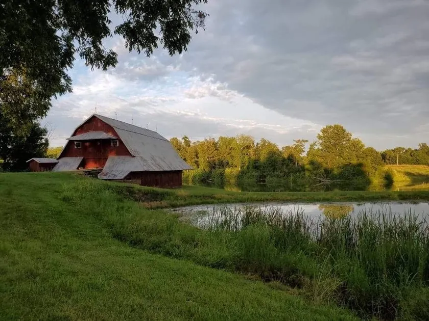 Charmerende hytte med udsigt over 5 Acre Lake - Image 1