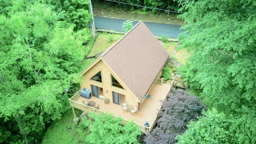Valhalla! Rustic Cabin, Marina, Dock, and Firepit! - Image 1