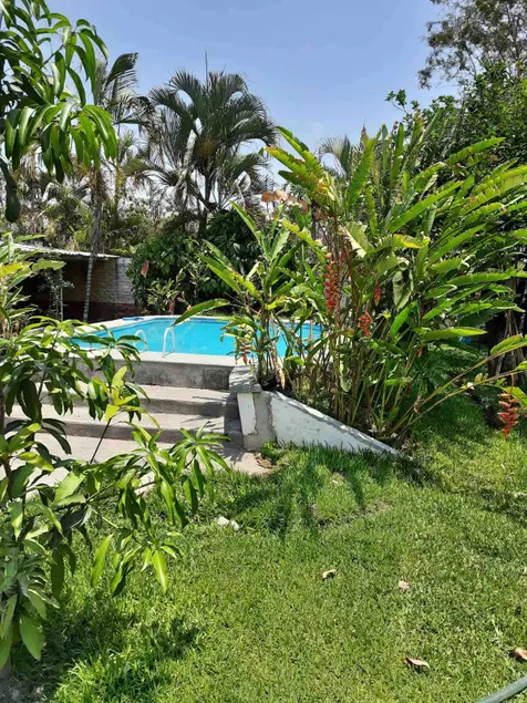 Casa del Venado - Image 1