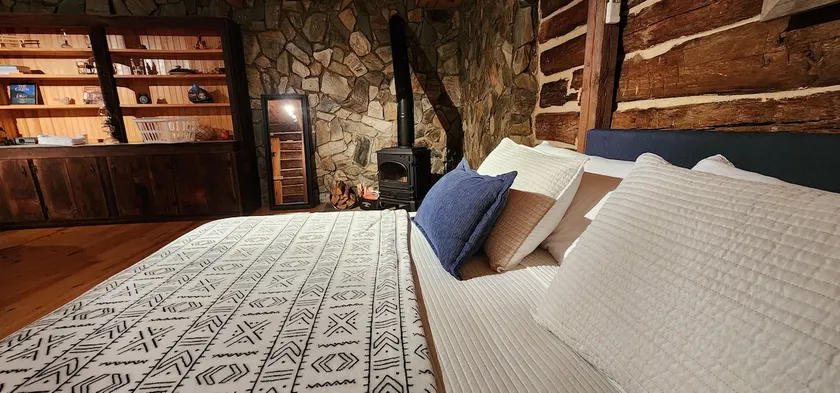 Saluda dream cabin: Waterfalls Nature Pet friendly - Image 1