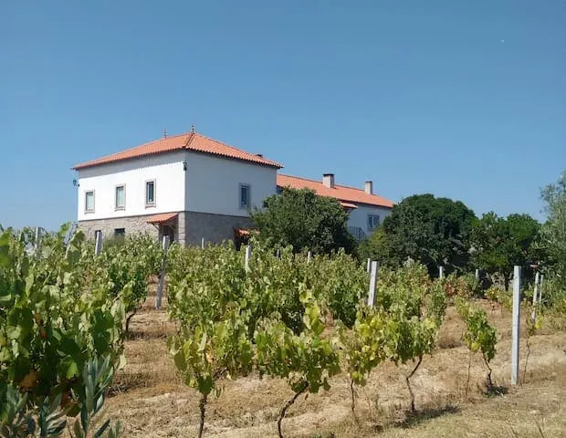 Quinta de Vodra Family Groups - Image 1