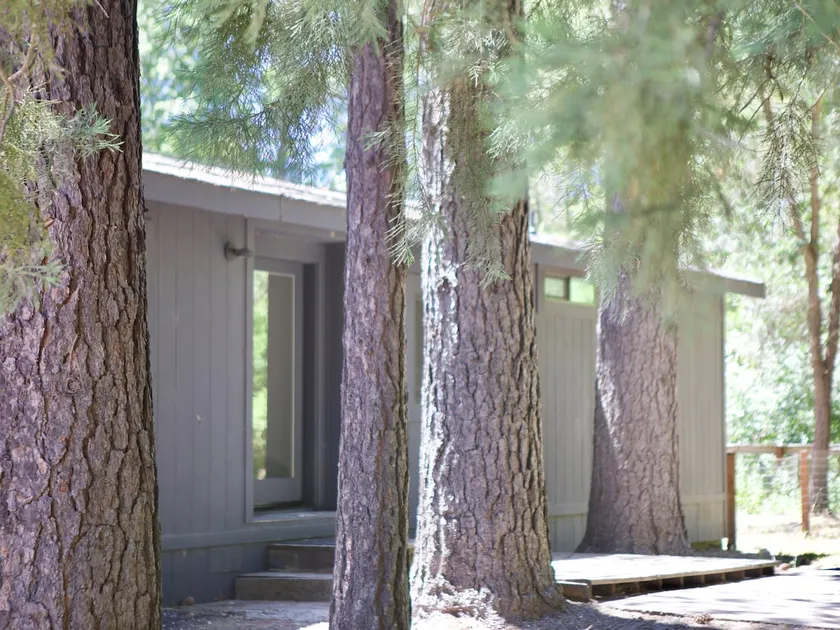 Kelsey Lodge - Abgeschiedener Waldurlaub - Image 1