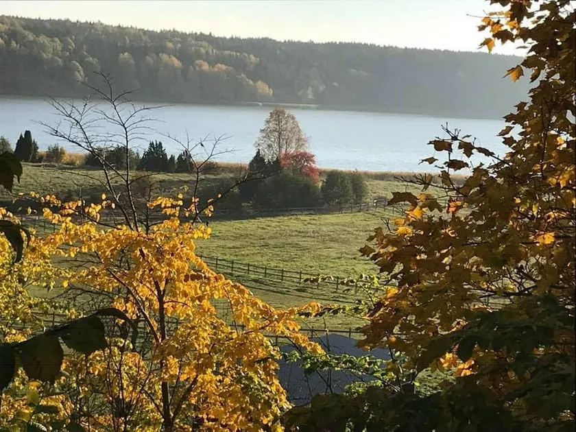 Beautiful living in the countryside of Sweden. - Image 1
