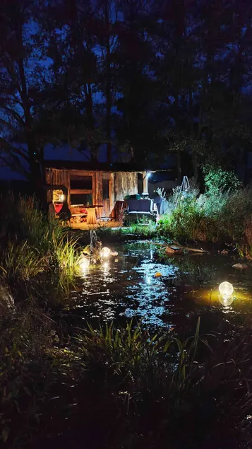 Time out surrounded by nature - It's a kind of magic - Image 1