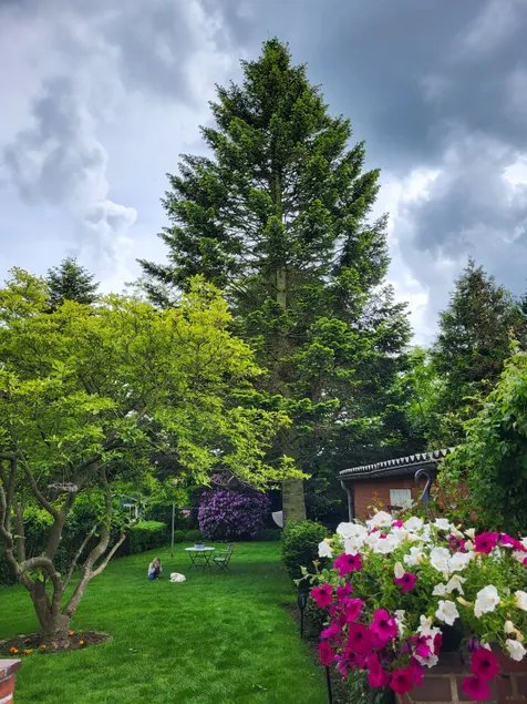 West Coast Vacation Rental - Image 1
