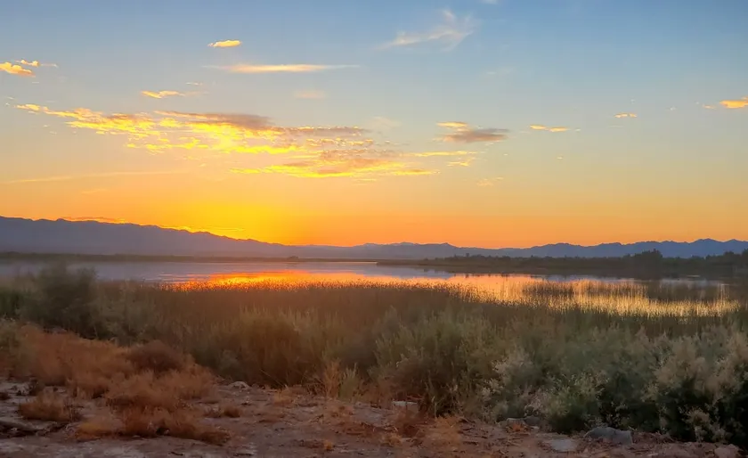 Desert Oasis CO River Getaway - Image 1