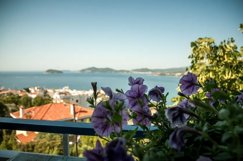 Paradise View Apartment - Image 1
