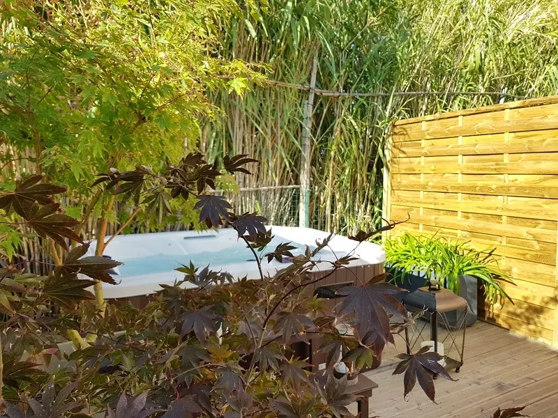 Gîte Les Roseaux Spa extérieur privatif inclus - Image 1