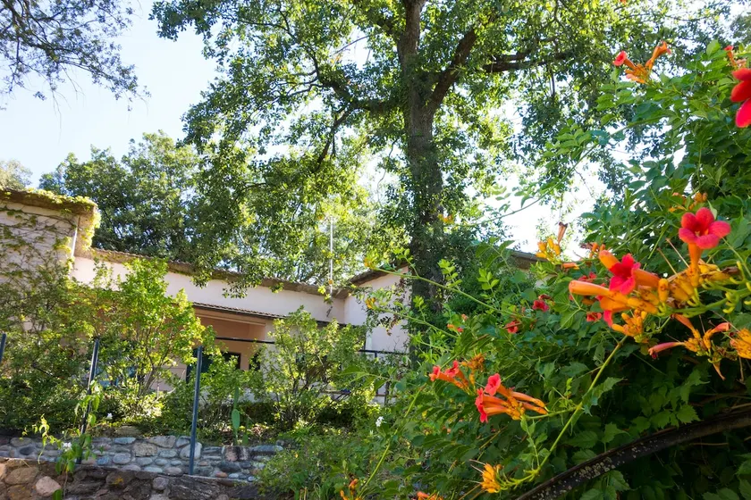 Tranquil paradise in Montseny Area - Image 1