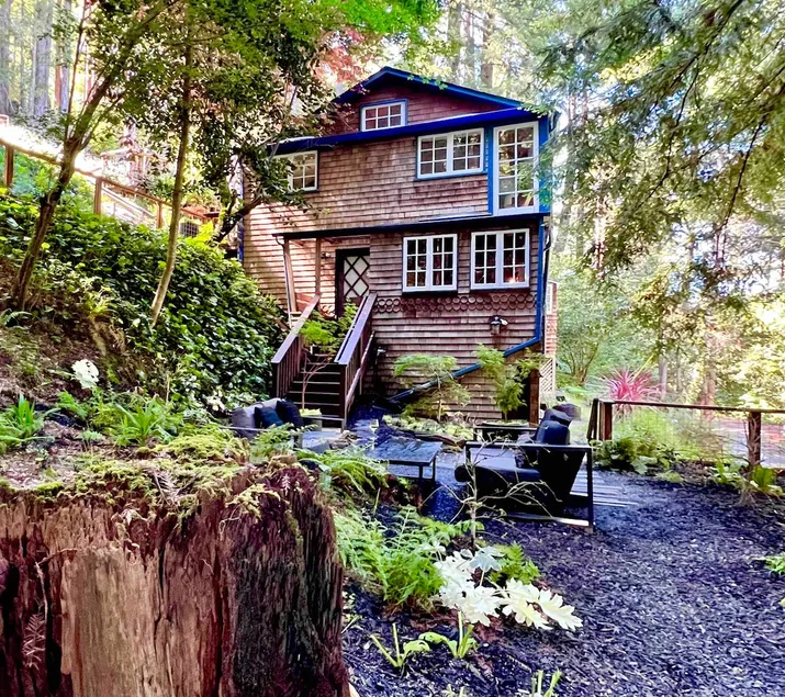 Immersive Stylish Cabin with Sauna - Image 1