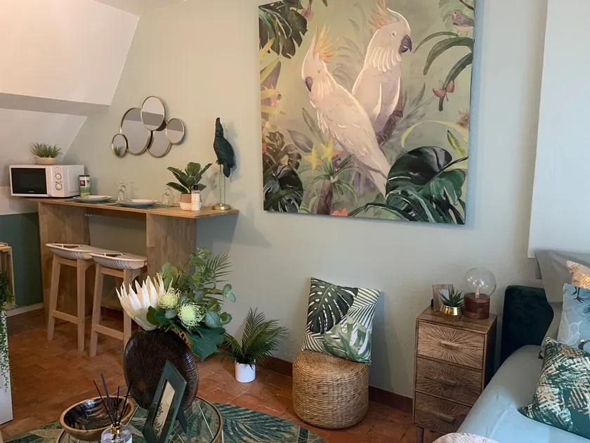Tropical 🌟 Stopover in Blois - Image 1