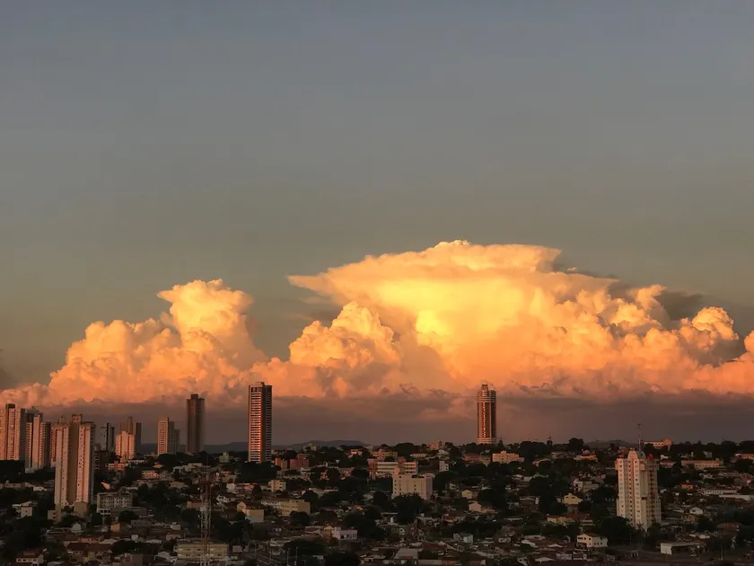 Apt south sector #764902 - Image 1