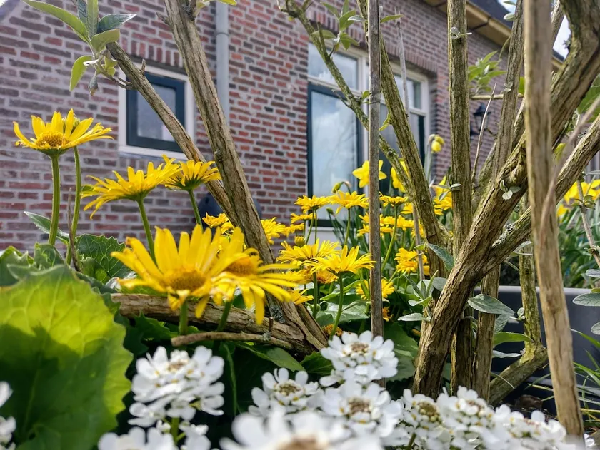 Large holiday home between Waddensea and Dokkum. - Image 1