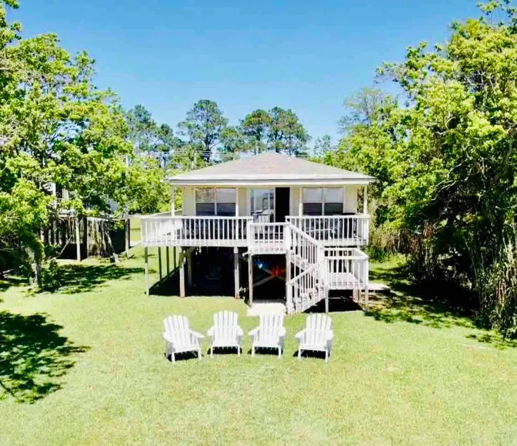 Mimosa on Mobile Bay - Image 1
