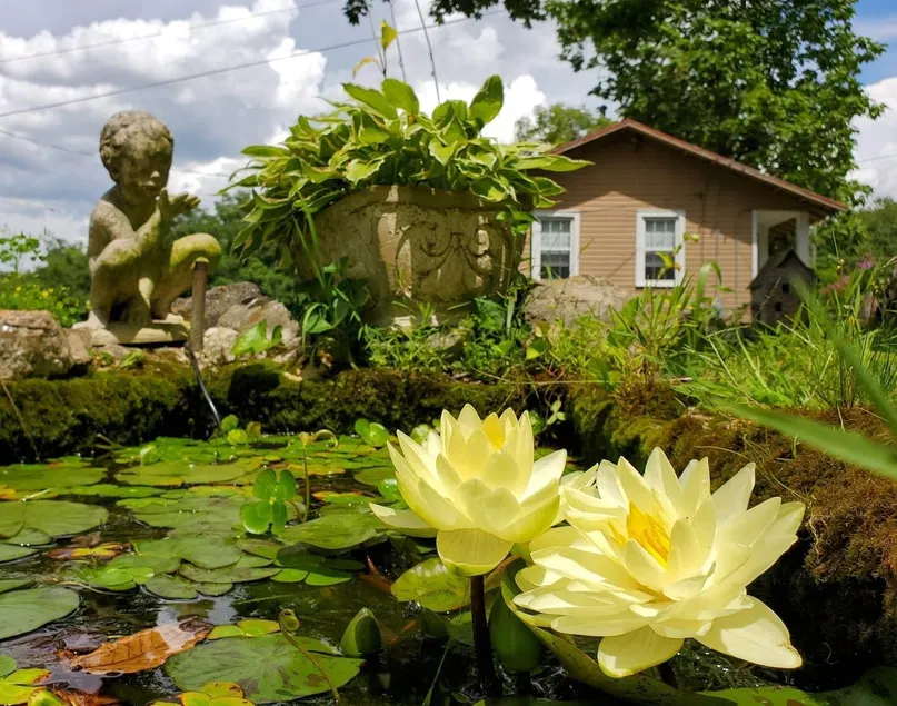 The Firefly Cottage - Image 1