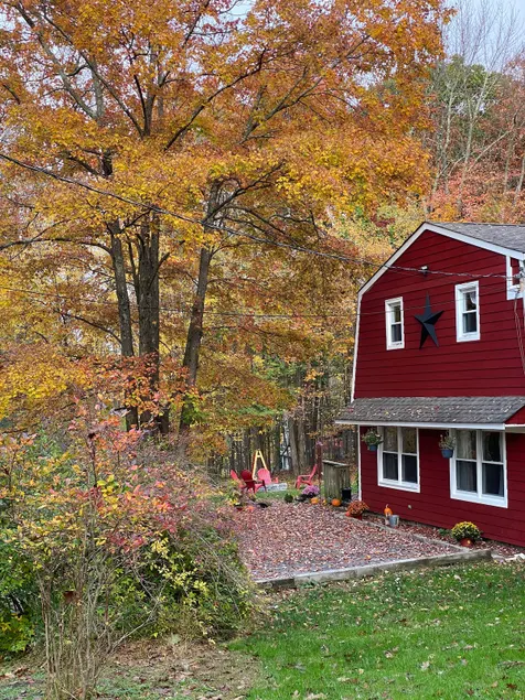 Peace and quiet. Comfy, private house to relax in - Image 1