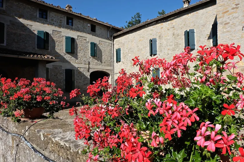 B&B CorteBonomini entire home - Image 1