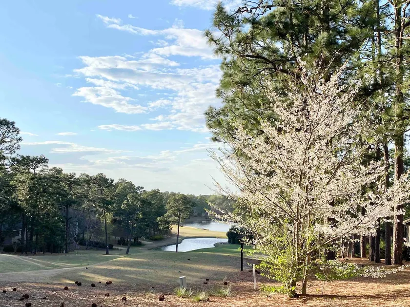 Golf Front SFH, 3 BR, 2 BA, 4 beds, sleep 6 on Pinehurst #6 - Image 1