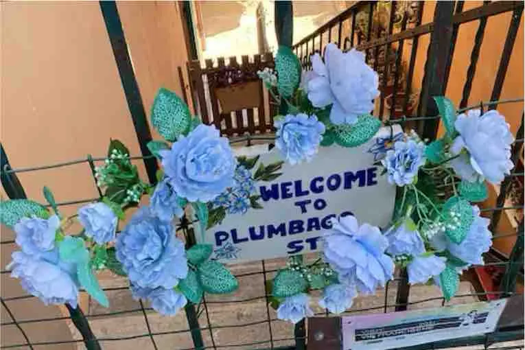 Plumbago Studio - Image 1