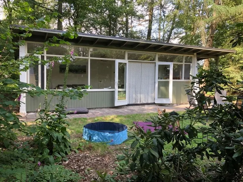 Woodland bungalow with lots of privacy - Image 1