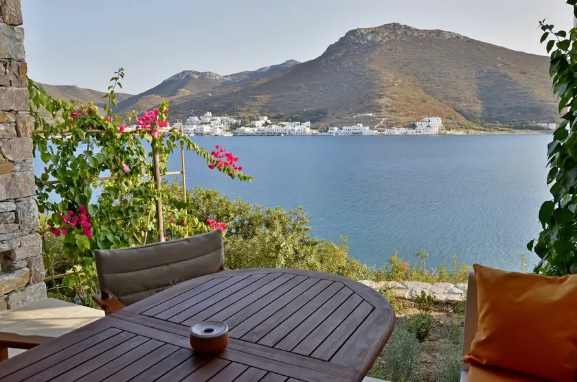 Amorgos the olive garden above the sea II - Image 1