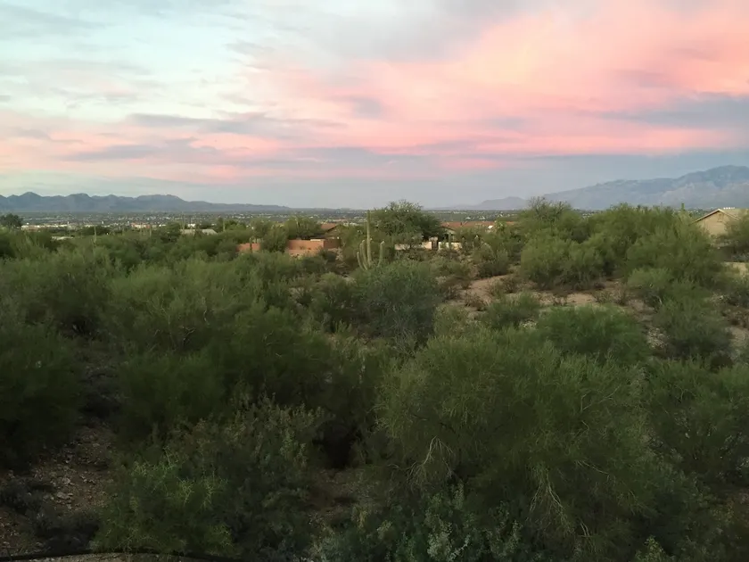Peaceful Quiet Home In The Desert - Image 1
