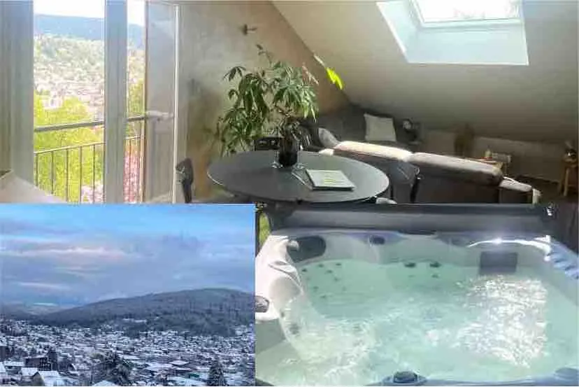 “Fleur d'Abeille” 3 or 4 pers/2 spa/beautiful view - Image 1