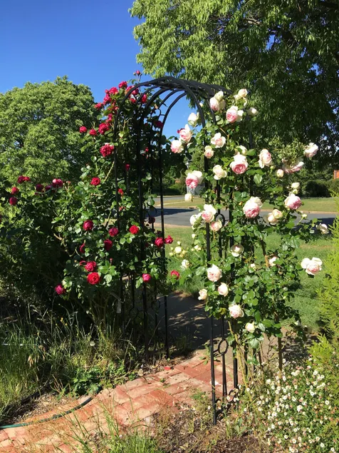 Charming garden studio - Image 1