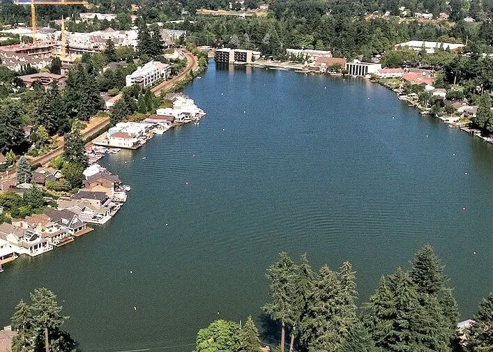 Modern, new and close to lake - Image 1