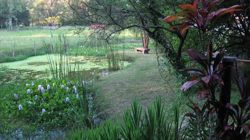 Sen de campo: experience nature - Image 1