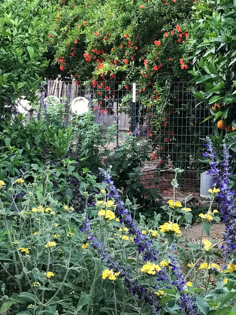 Tiny Farm Cottage in Davis - Image 1