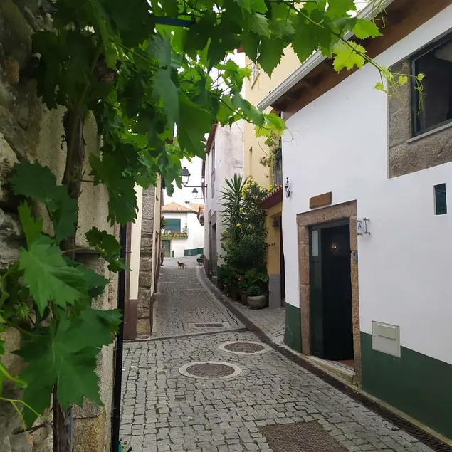 Refugio d'Anita Douro Valley House - Image 1