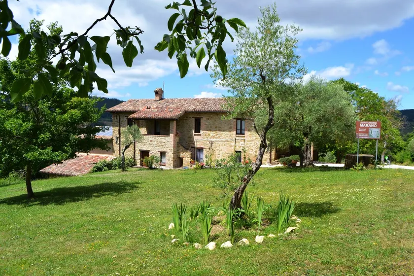 “Fienile” Studio Apartment in Agriturismo Marano - Image 1