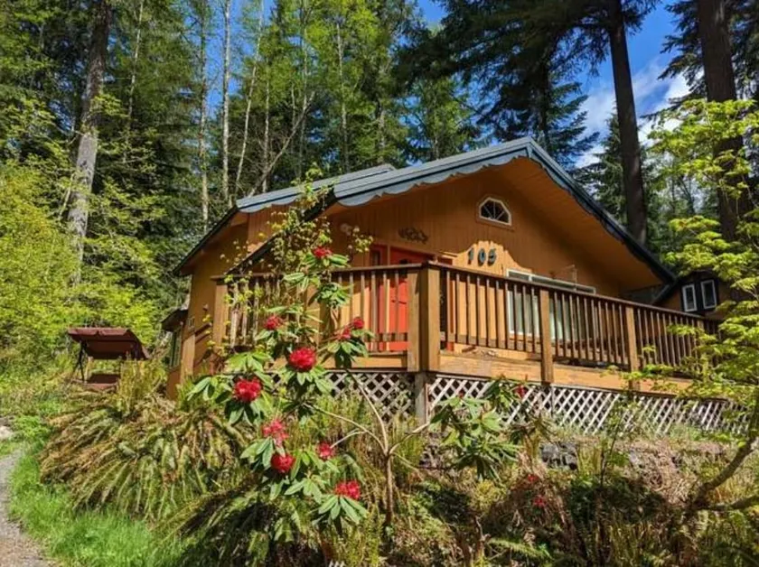 Cabin with view HotTub Sauna 5mi Rainier NP WI-FI - Image 1