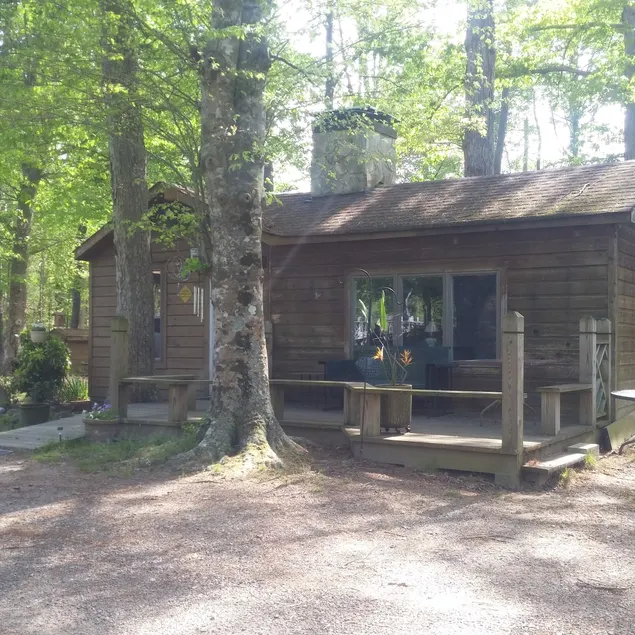 Wooded Cabin retreat on fresh water pond - Image 1