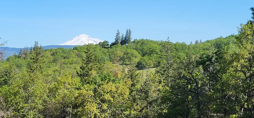Secluded Mosier Hideaway! - Image 1