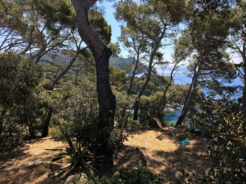 Between sea and forest. Sea front, panoramic view - Image 1