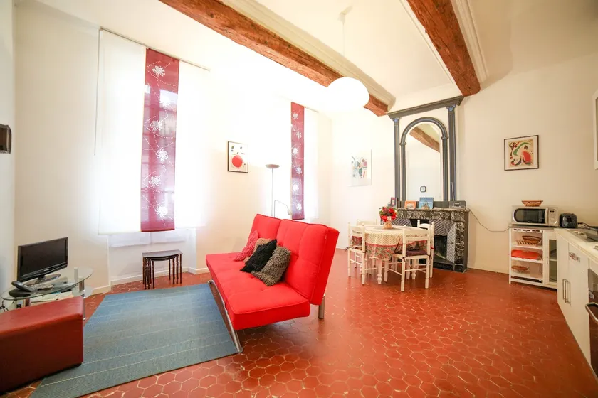 ”MIRO” weekly rental 30 minutes from Avignon - Image 1